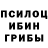 Псилоцибиновые грибы прущие грибы grand fhafher