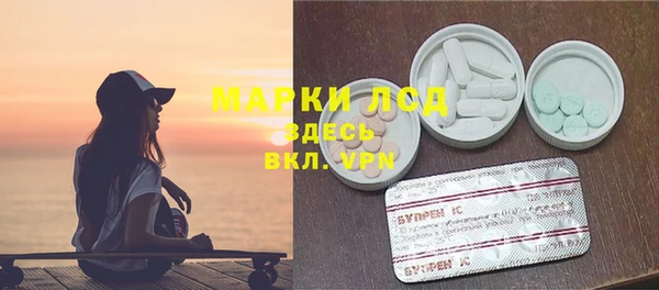 стаф Аркадак