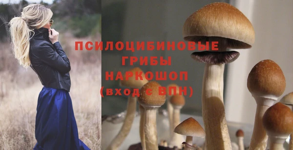 эйфоретик Баксан
